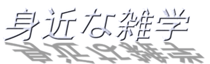 ゼロ と レイ の違い 身近な雑学